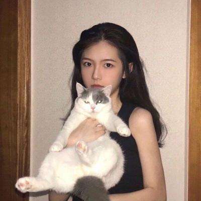 冒险先锋手游